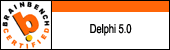 delphi5programmer
